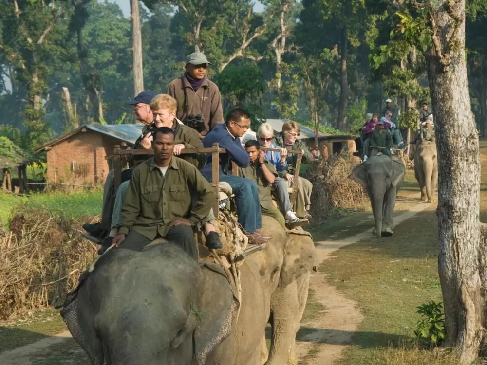 Bardiya Wildlife Safari